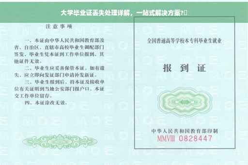 大学毕业证丢失处理详解，一站式解决方案?✨