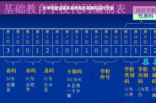 大学毕业证丢失后的报名指南与应对方法