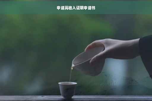 申请高收入证明申请书