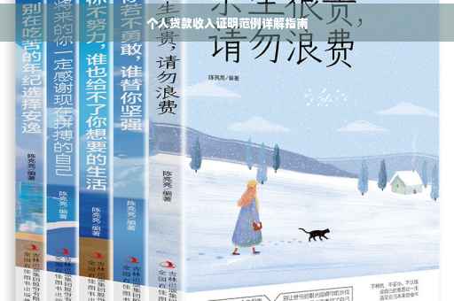 个人贷款收入证明范例详解指南