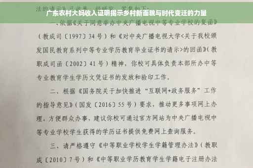 广东农村大妈收入证明揭示乡村新面貌与时代变迁的力量