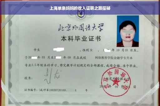 上海单亲妈妈的收入证明之路探秘