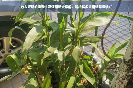 收入证明的重要性及适用场景详解，解析其多重用途与影响?✨