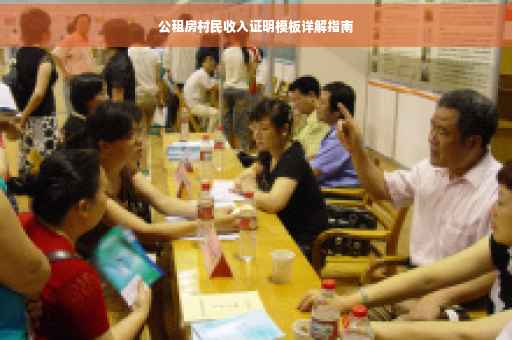 公租房村民收入证明模板详解指南