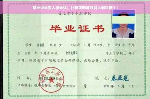 毕业证丢失入职无忧，补救攻略与顺利入职指南 ?✨