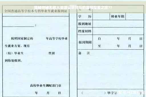 揭秘神秘无收入来源证明背后的真相探索之旅??