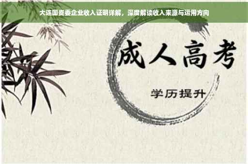 大连国资委企业收入证明详解，深度解读收入来源与运用方向
