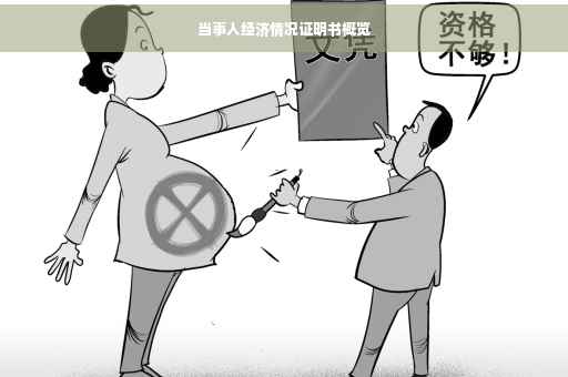 当事人经济情况证明书概览