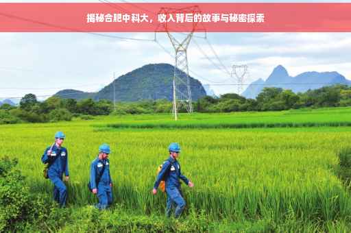 揭秘合肥中科大，收入背后的故事与秘密探索