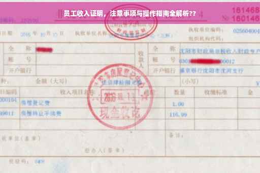 员工收入证明，注意事项与操作指南全解析??