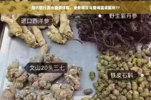 周六银行流水查询详解，业务规定与查询需求解析??