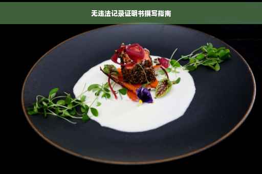 无违法记录证明书撰写指南