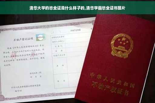清华大学的毕业证是什么样子的,清华学霸毕业证书图片