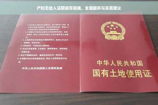 产妇无收入证明填写指南，全面解析与实用建议