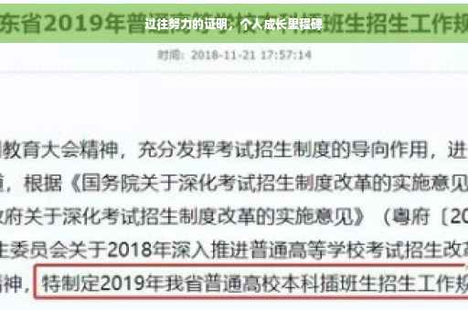 过往努力的证明，个人成长里程碑