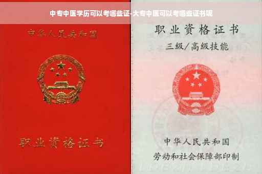 中专中医学历可以考哪些证-大专中医可以考哪些证书呢