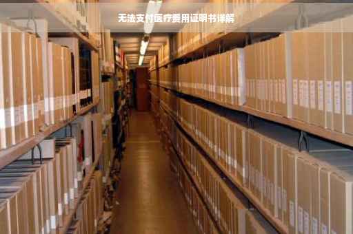 无法支付医疗费用证明书详解