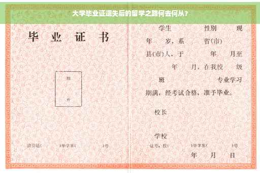 大学毕业证遗失后的留学之路何去何从？