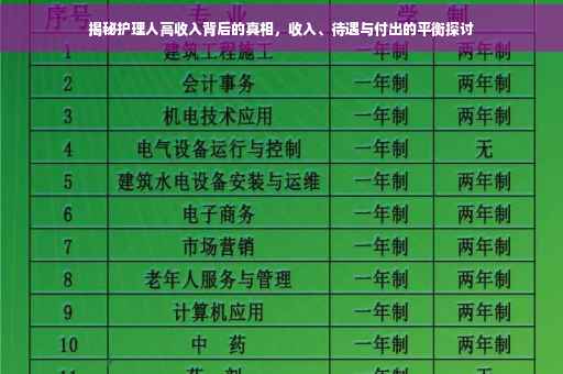 揭秘护理人高收入背后的真相，收入、待遇与付出的平衡探讨