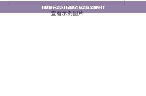 邮储银行流水打印地点及流程全解析??
