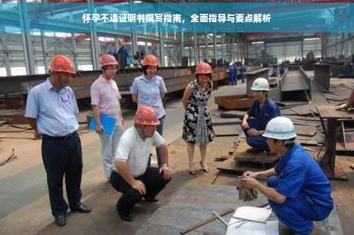怀孕不适证明书撰写指南，全面指导与要点解析