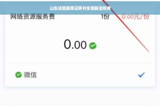 山东法院离婚证明书全面解读指南