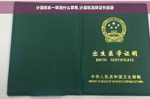 计算机省一级是什么意思,计算机高级证书目录