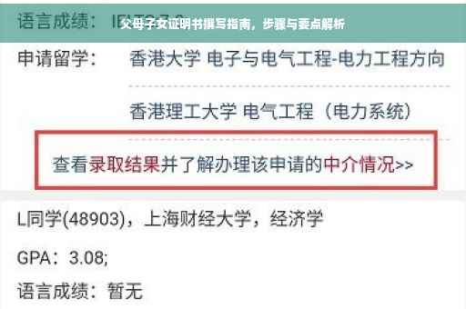 父母子女证明书撰写指南，步骤与要点解析