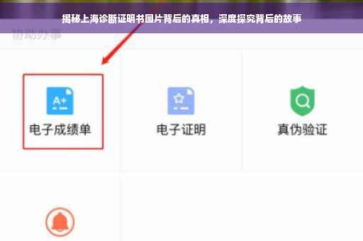 揭秘上海诊断证明书图片背后的真相，深度探究背后的故事