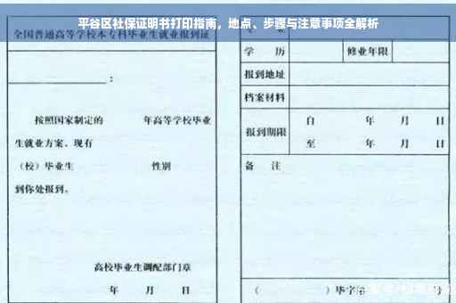平谷区社保证明书打印指南，地点、步骤与注意事项全解析