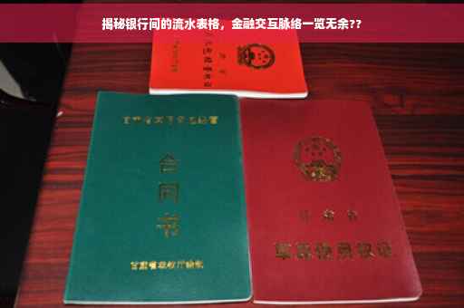 揭秘银行间的流水表格，金融交互脉络一览无余??