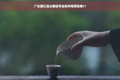 广东银行流水翻译专业机构推荐指南??