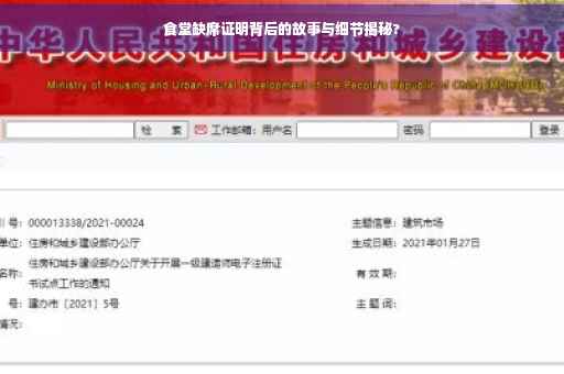 食堂缺席证明背后的故事与细节揭秘?
