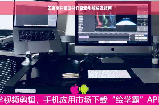 芒果事件证明书详查指引解析及指南