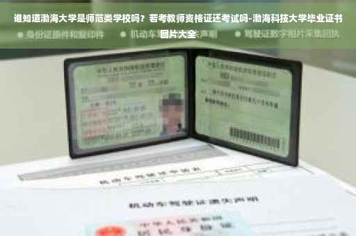 谁知道渤海大学是师范类学校吗？若考教师资格证还考试吗-渤海科技大学毕业证书图片大全