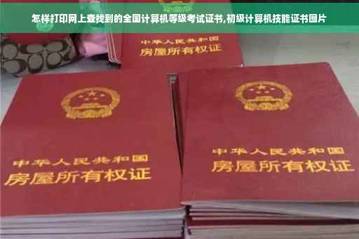 怎样打印网上查找到的全国计算机等级考试证书,初级计算机技能证书图片