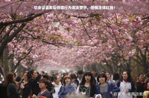 毕业证丢失后仿造行为违法警示，警惕法律红线！