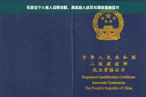 石家庄个人收入证明详解，真实收入状况与增收策略探讨