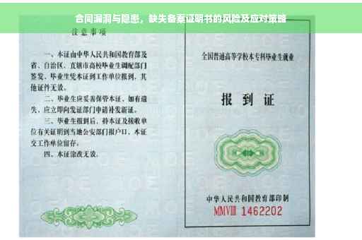 合同漏洞与隐患，缺失备案证明书的风险及应对策略
