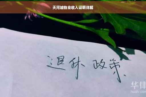 天河城物业收入证明详解