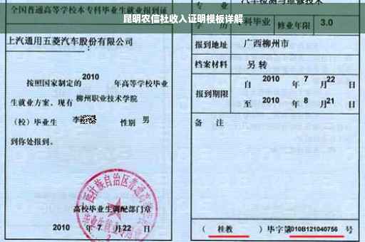 昆明农信社收入证明模板详解