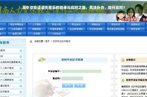 高中毕业证遗失背后的故事与应对之策，无法补办，如何应对？