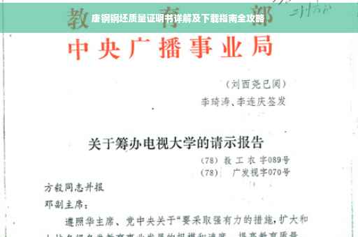 唐钢钢坯质量证明书详解及下载指南全攻略