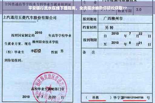 平安银行流水在线下载指南，全流程攻略助你轻松获取??