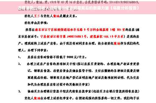 古都洛阳公共收入证明揭示经济繁荣背后的数据力量（年度分析报告）