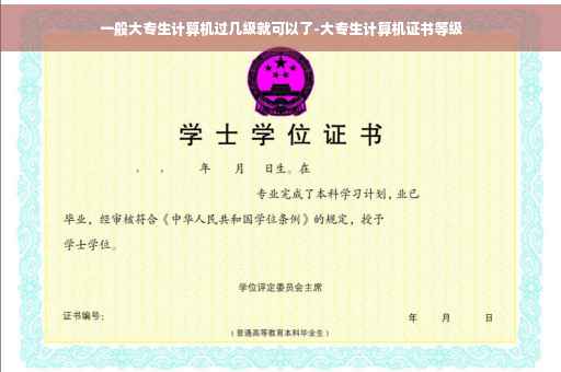 一般大专生计算机过几级就可以了-大专生计算机证书等级