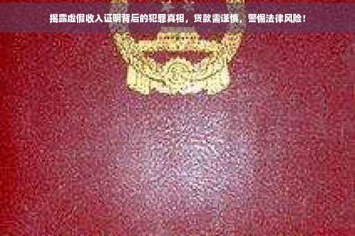 揭露虚假收入证明背后的犯罪真相，贷款需谨慎，警惕法律风险！