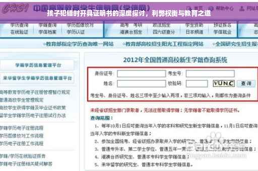 孩子犯错时开具证明书的深度探讨，利弊权衡与教育之道