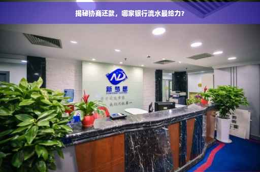 揭秘协商还款，哪家银行流水最给力？