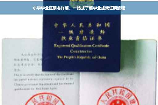 小学学业证明书详解，一站式了解学业成就证明流程